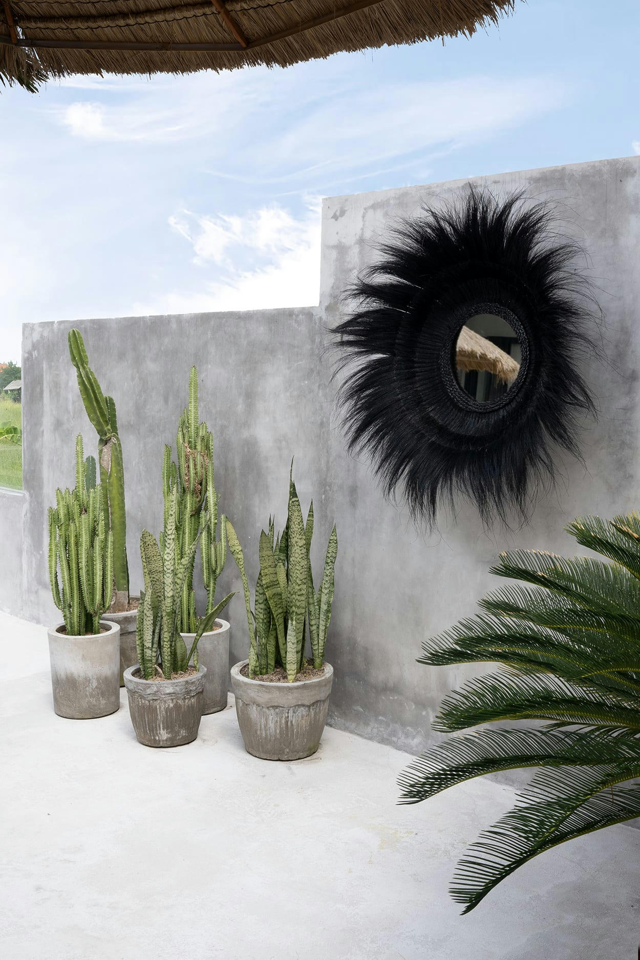 SUNKEN FOREST - Miroir en herbe noir D90