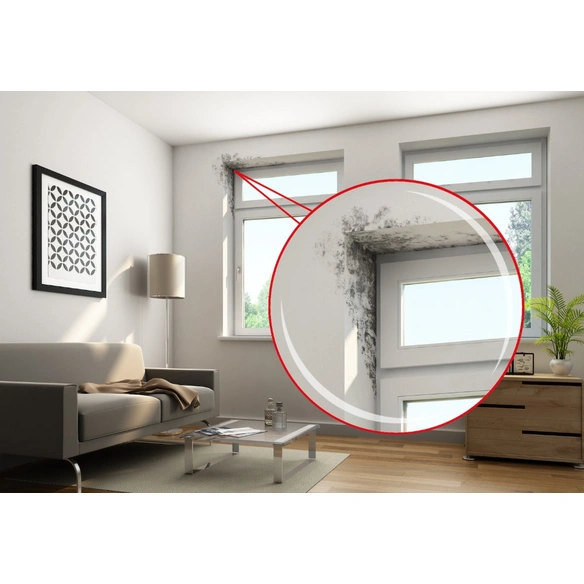 Schimmel-Entferner, transparent, 0,5 l