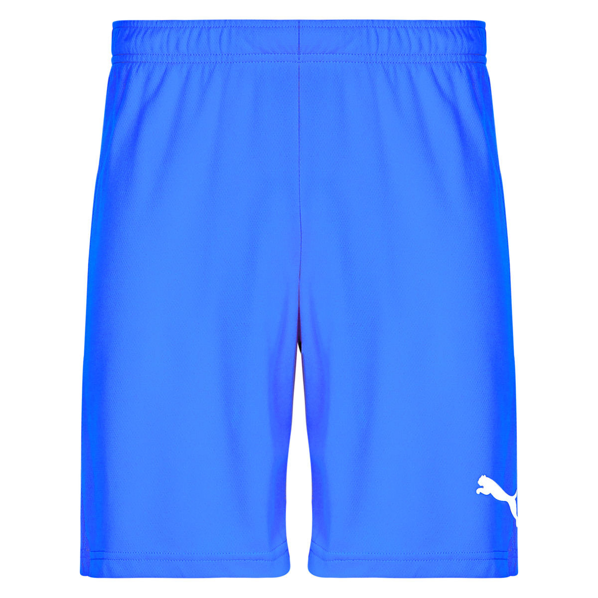 Puma - TEAMRISE MATCHDAY - Blue