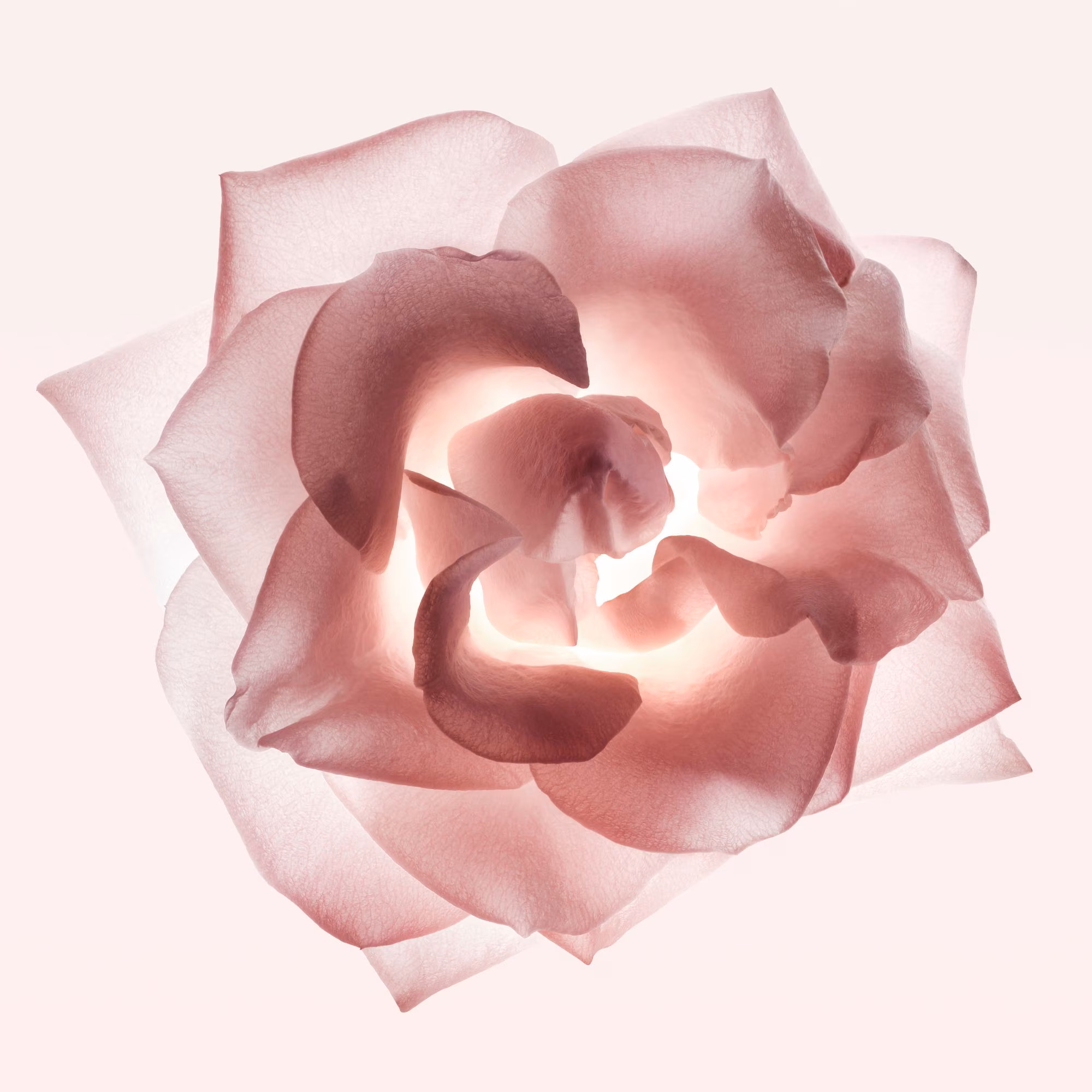 NARCISOEau de parfum - cristal