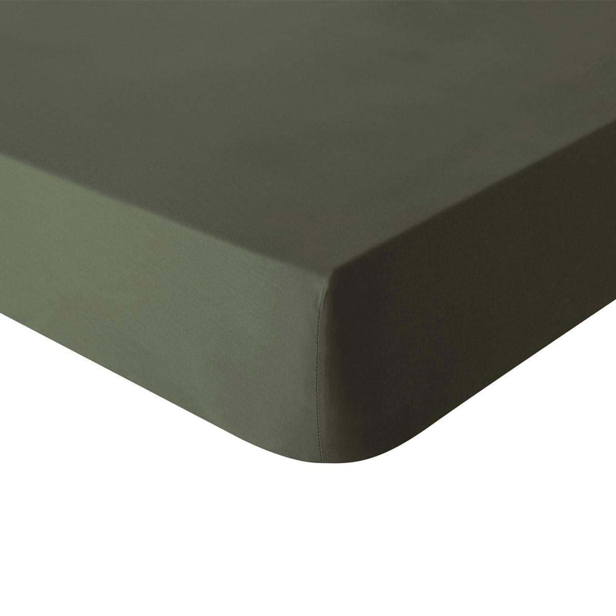 TOUT DOUX - Drap housse en coton vert 160x200