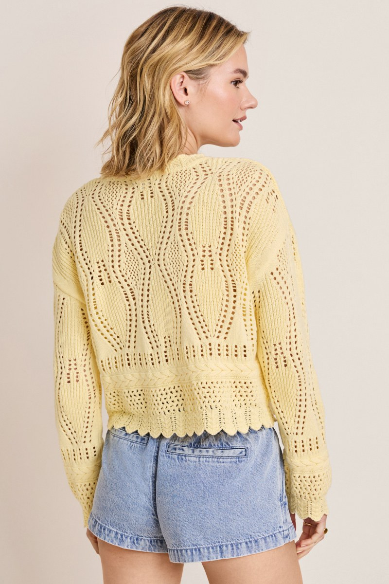 Amy Pointelle Button Down Cardigan