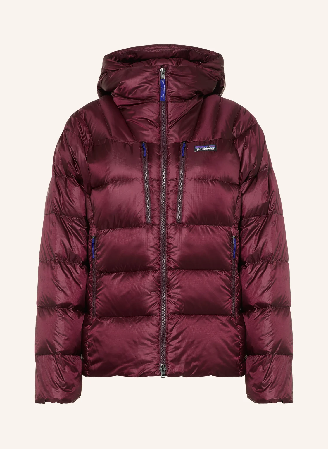 patagonia Daunenjacke FITZ ROY