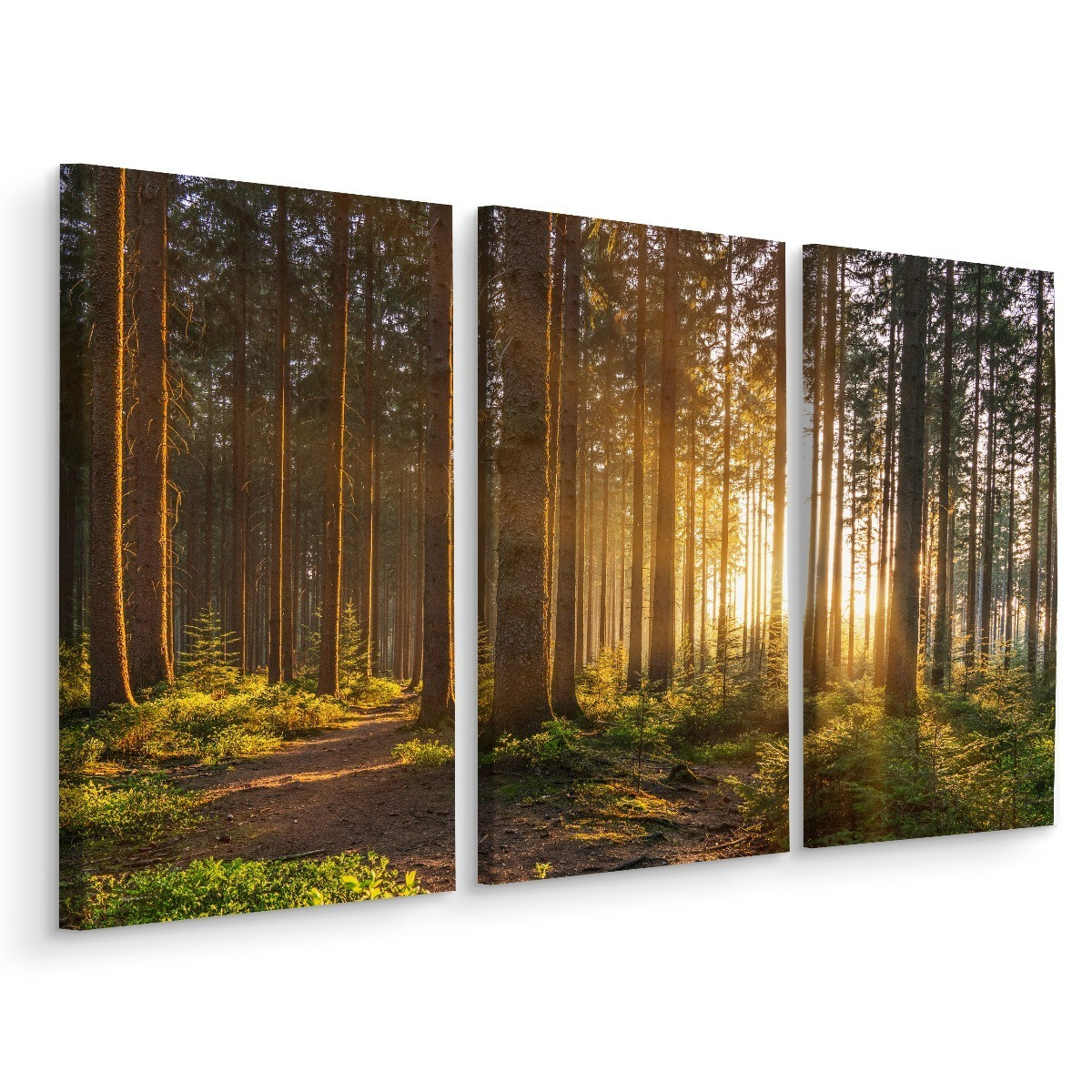 Obraz Tryptyk ZACHÓD SŁOŃCA W LESIE 3D 60x40cm