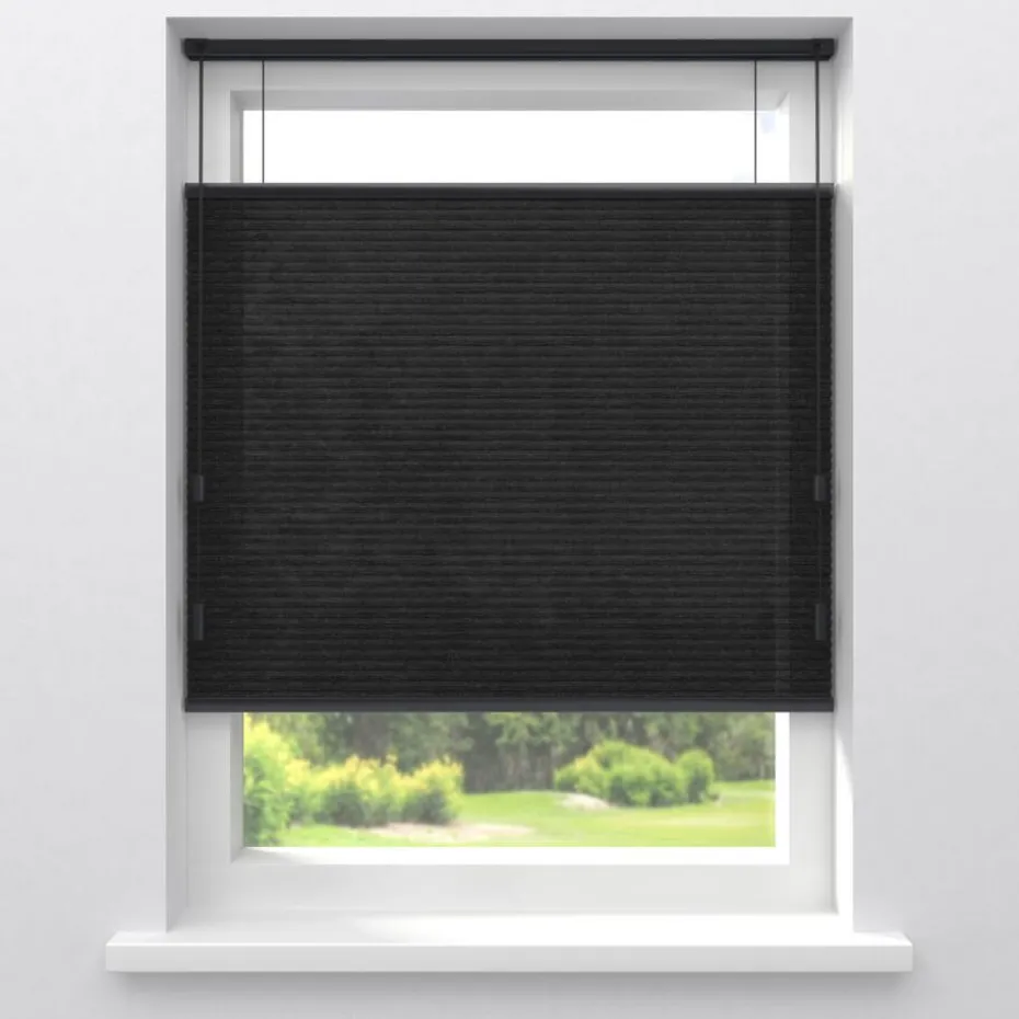 Kwantum Plisségordijnen | Fenstr Dubbel Plissé Jana  Lichtdoorlatend Zwart