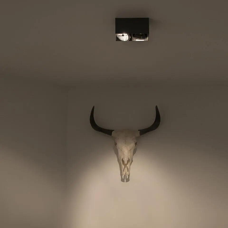 Qazqa verstelbare plafondspot box zwart g9