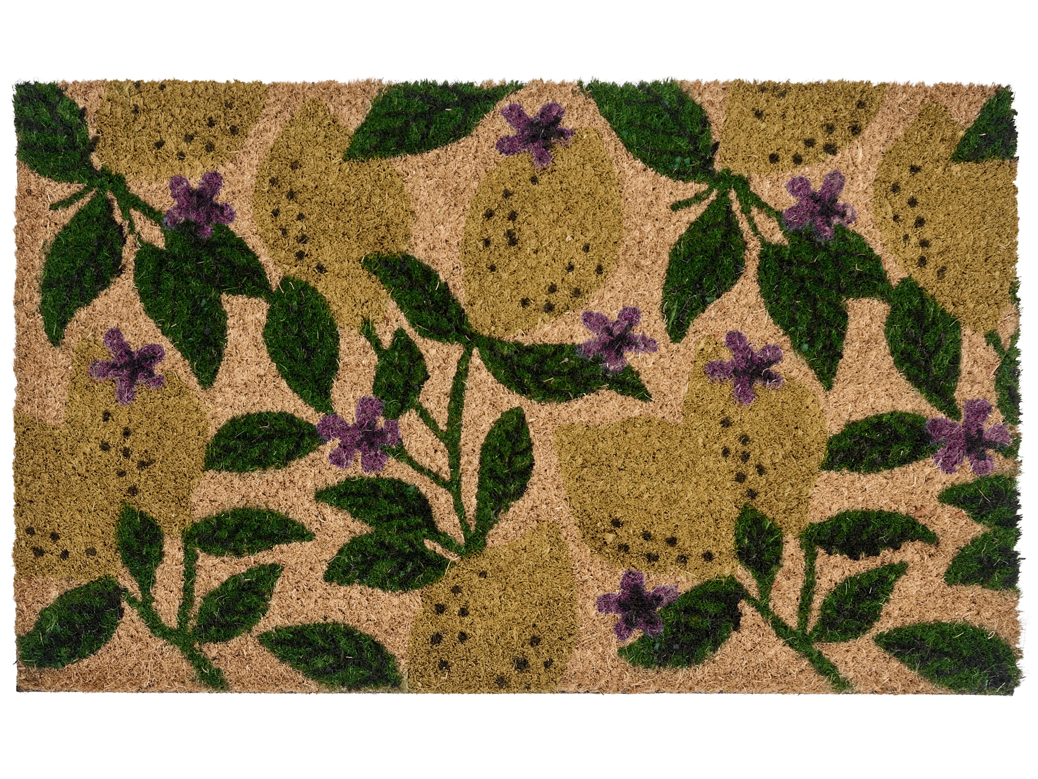 Doormat TAZLINA Multicolour 40 x 60 cm Lemon Coir