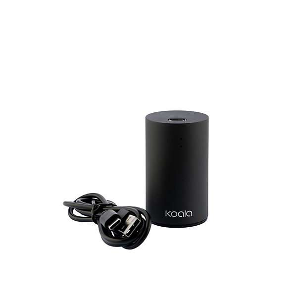 Bouchon à vide électrique rechargeable Noir - Flavour par Koala