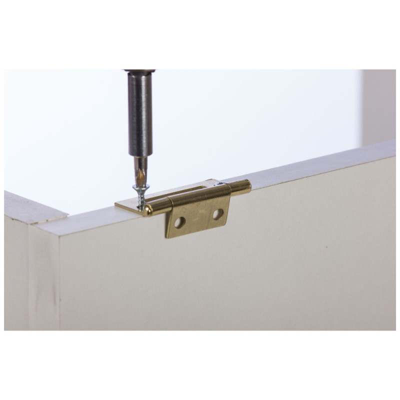 Charnière universelle en laiton satiné 50 x 26 mm 2 pièces TEKNIBOX