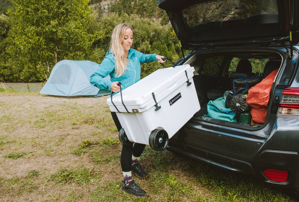 Woods™ Roto-Moulded Cooler with Wheels, 65-L