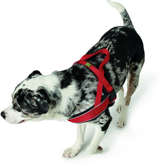 Hunde-Geschirr, L, nylon/fleece, rot