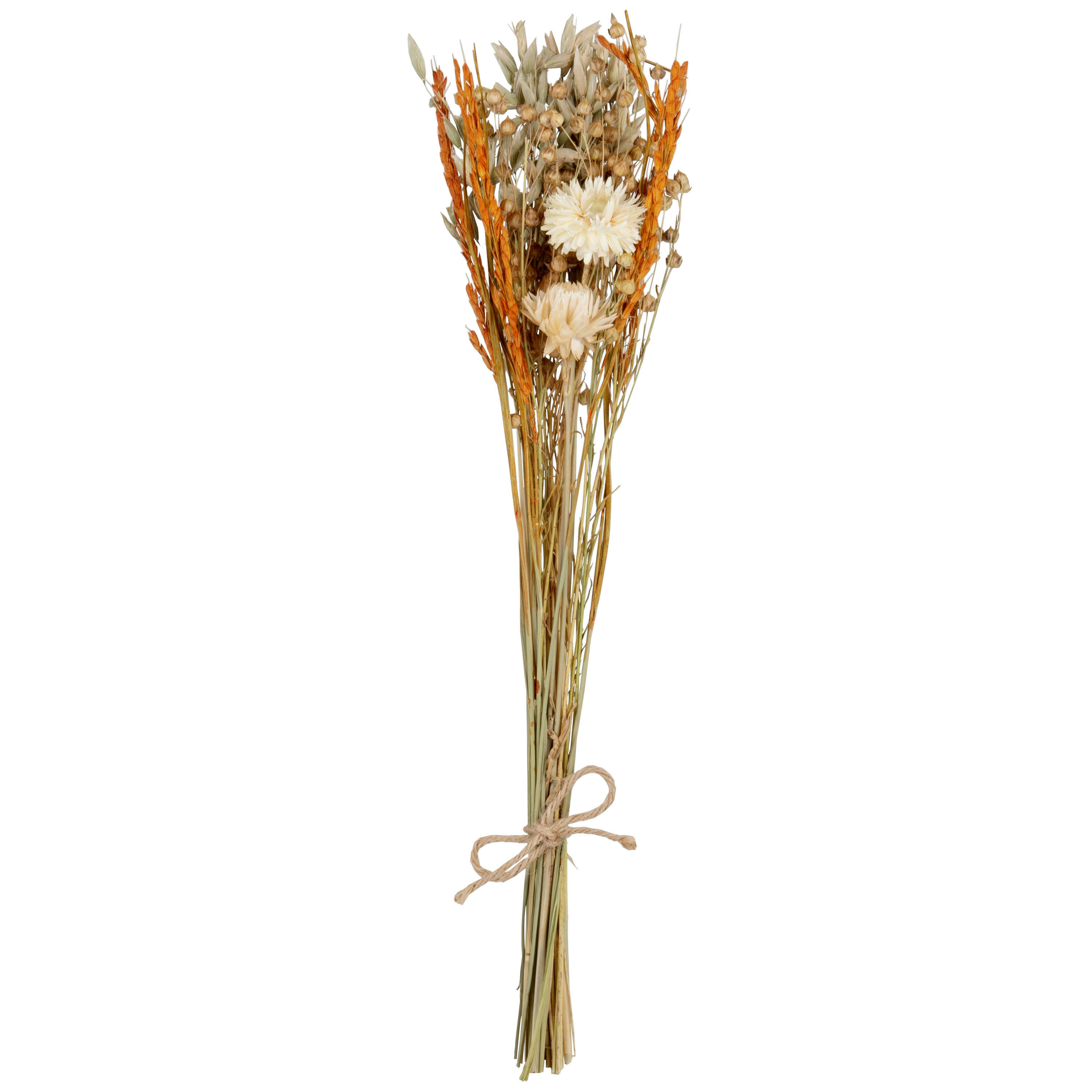 ROXELLE - Bouquet de fleurs séchées multicolores