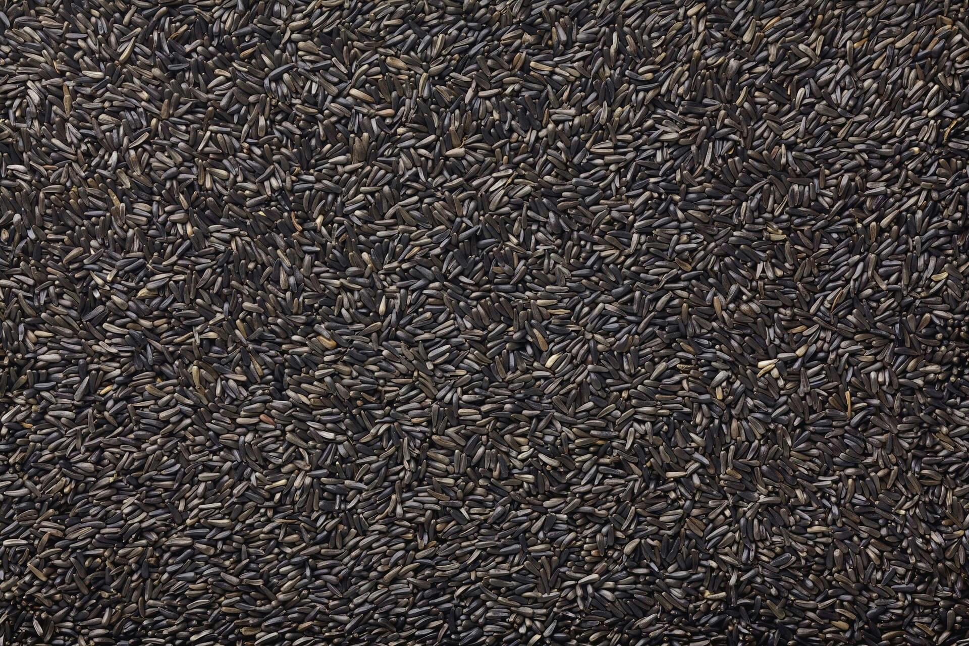 Armstrong Nyjer Bird Seed, 6.8-kg