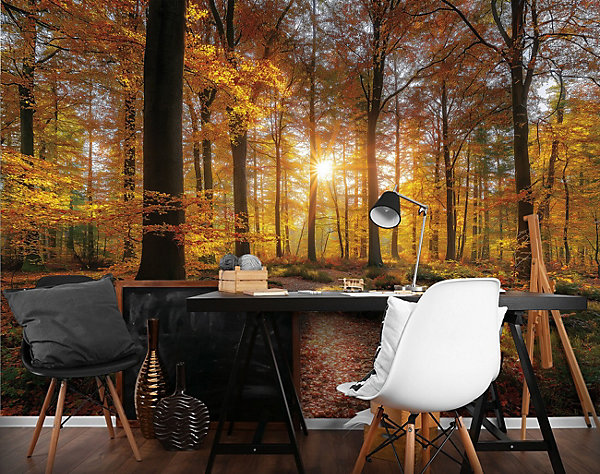 Papier Peint Panoramique Intissé Forêt Arbres Brun - 400x280 cm - Papier Peint Chambre et salon