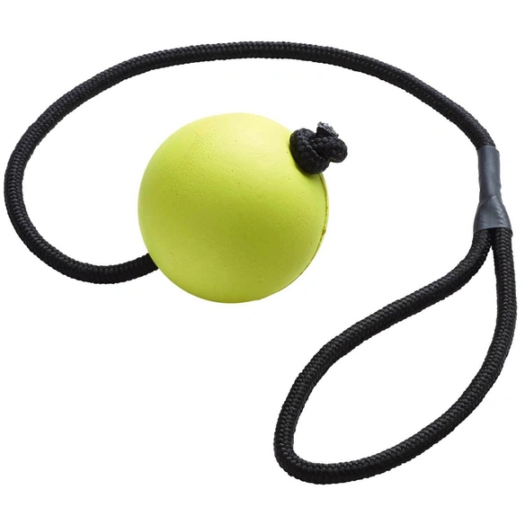 Hundespielzeug, mehrfarbig