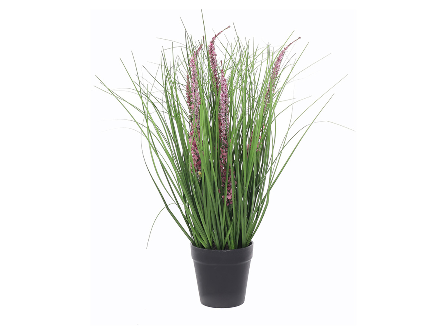 Trawa w doniczce 45 cm