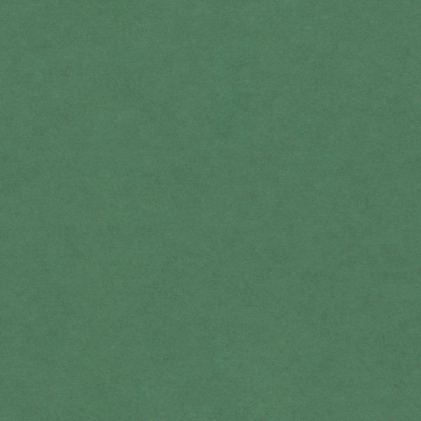 Panneau médium teinté dans la masse Forescolor vert 122 x 61 cm, ép.16 mm