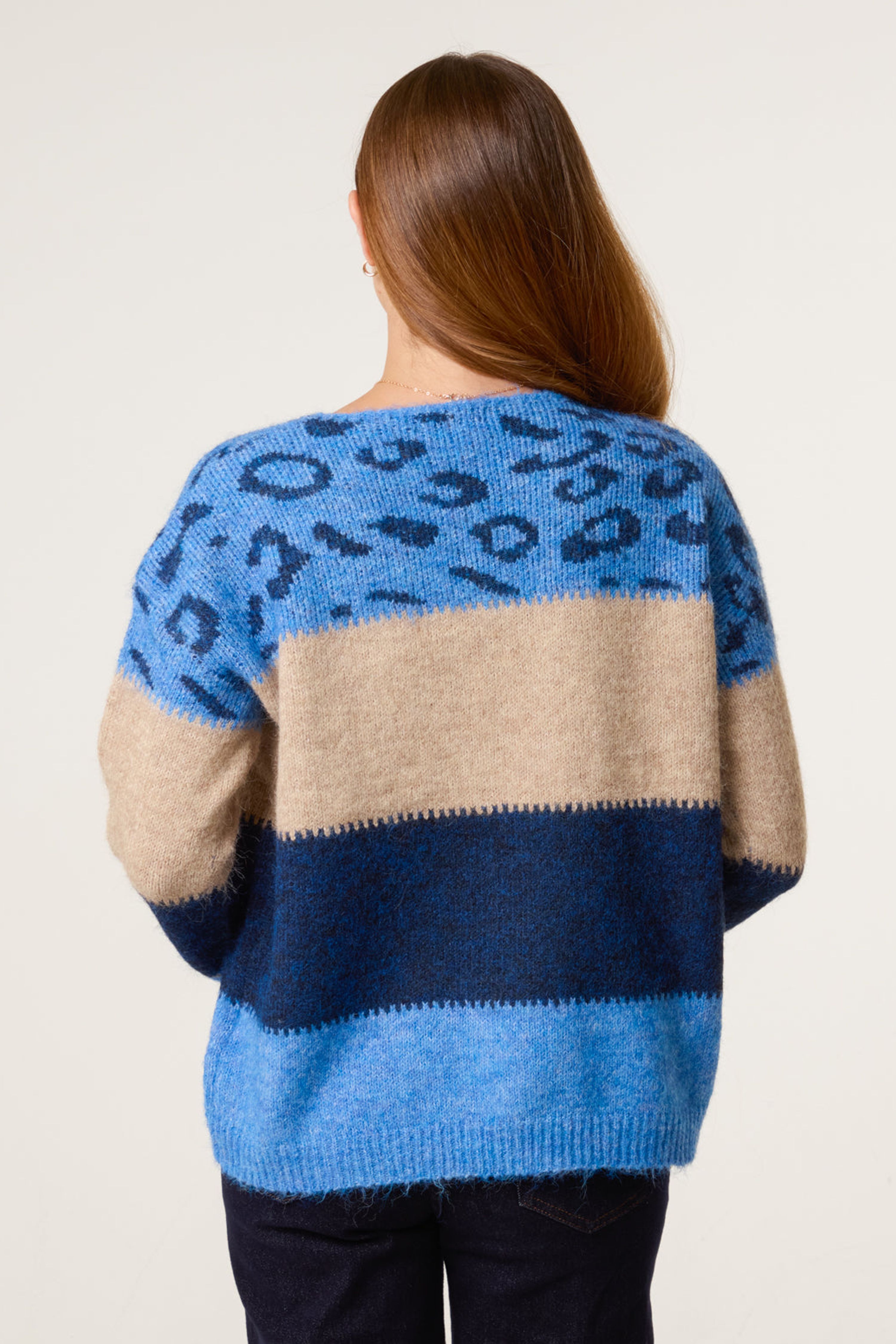Blue Vanilla Blue Animal Colour Block Jumper