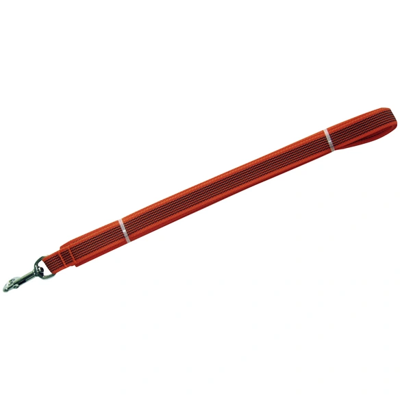 Hundeleine, Modern Art, 10m, Gurtband, Orange