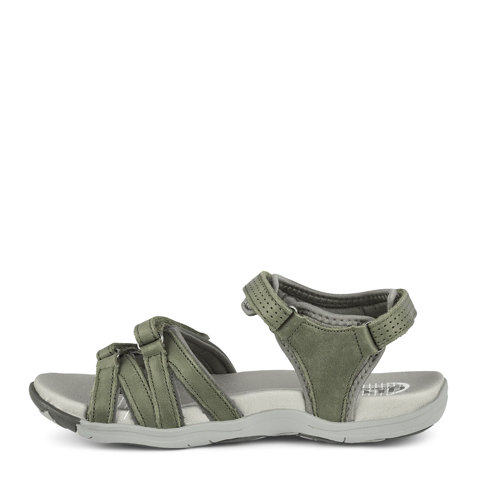 CORSICA CAIA - OLIVE