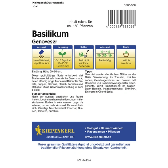 Basilikum , Ocimum basilicum, Max. Wuchshöhe: 50 cm