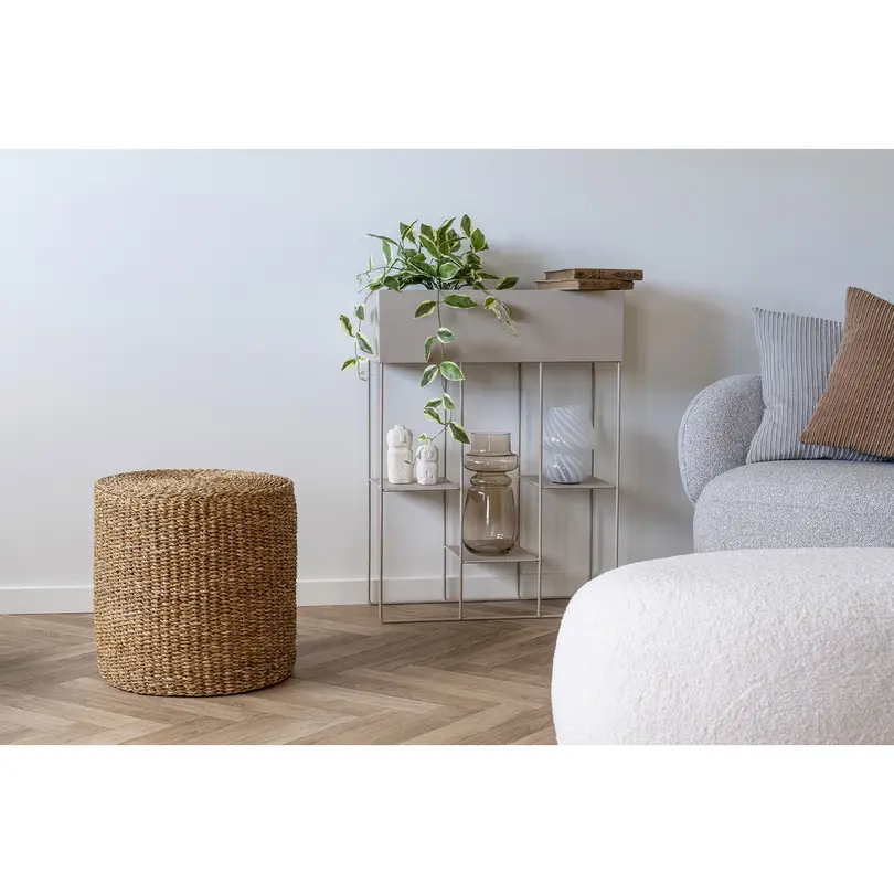 Hocker Rivera