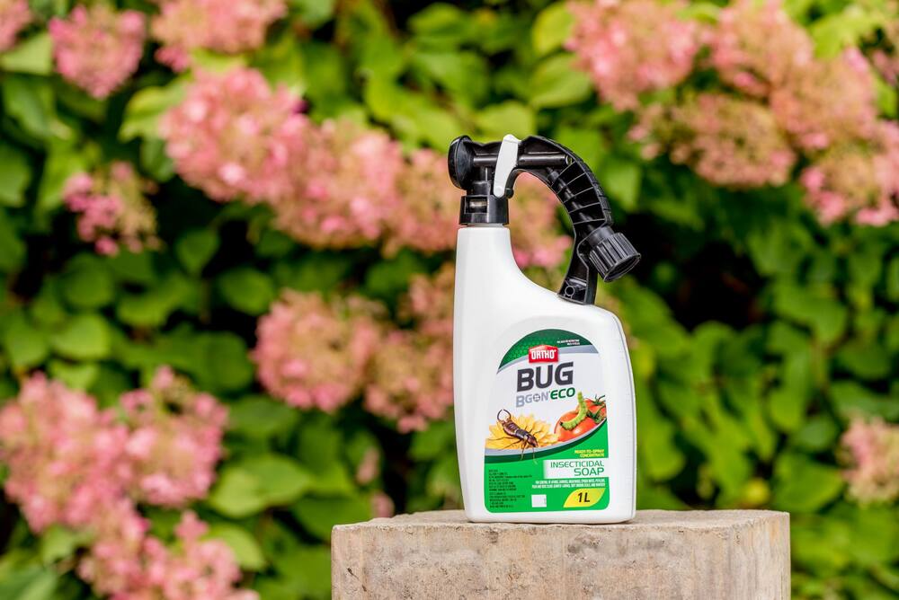 Ortho Bug B Gon® ECO Indoor/Outdoor Ready-to-Use Insecticidal Soap Concentrate, Spray, 1-L