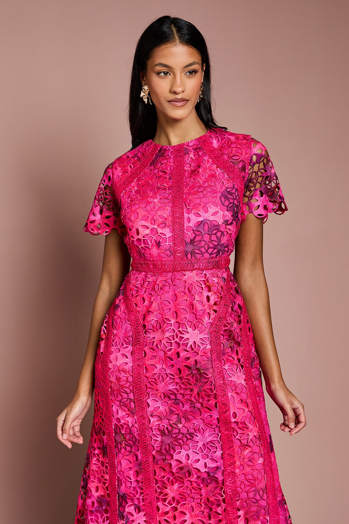 Coast Petite Printed Lace Midi Pencil Dress