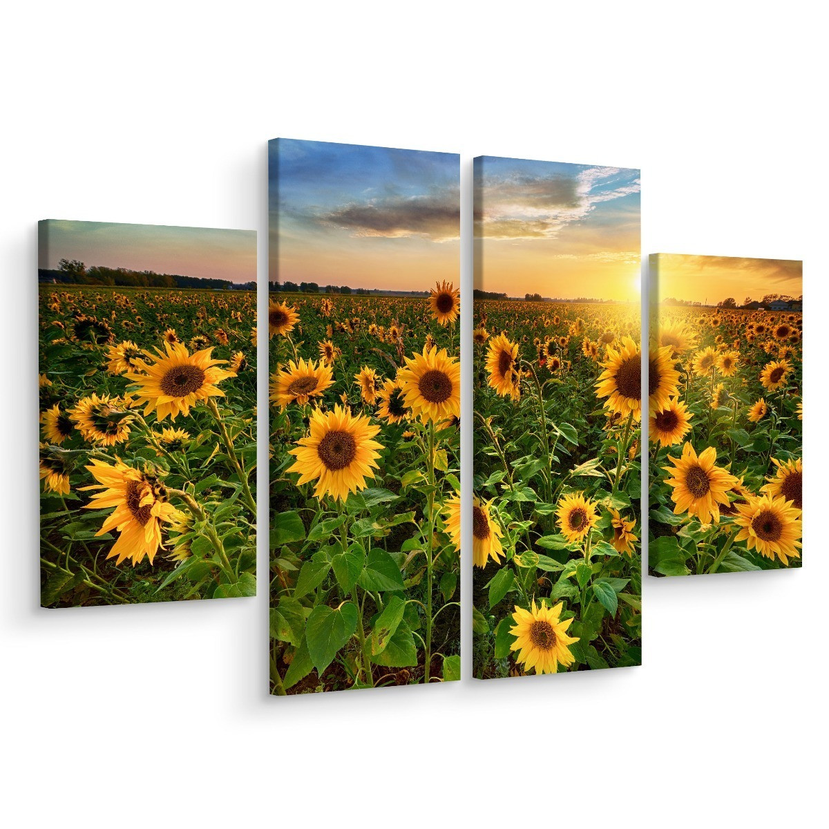 Obraz 4-Częściowy SŁONECZNIKOWE Pole 3D 80x60cm