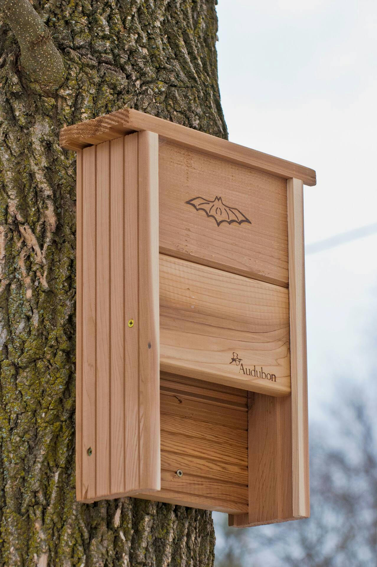 Cedar Bat House