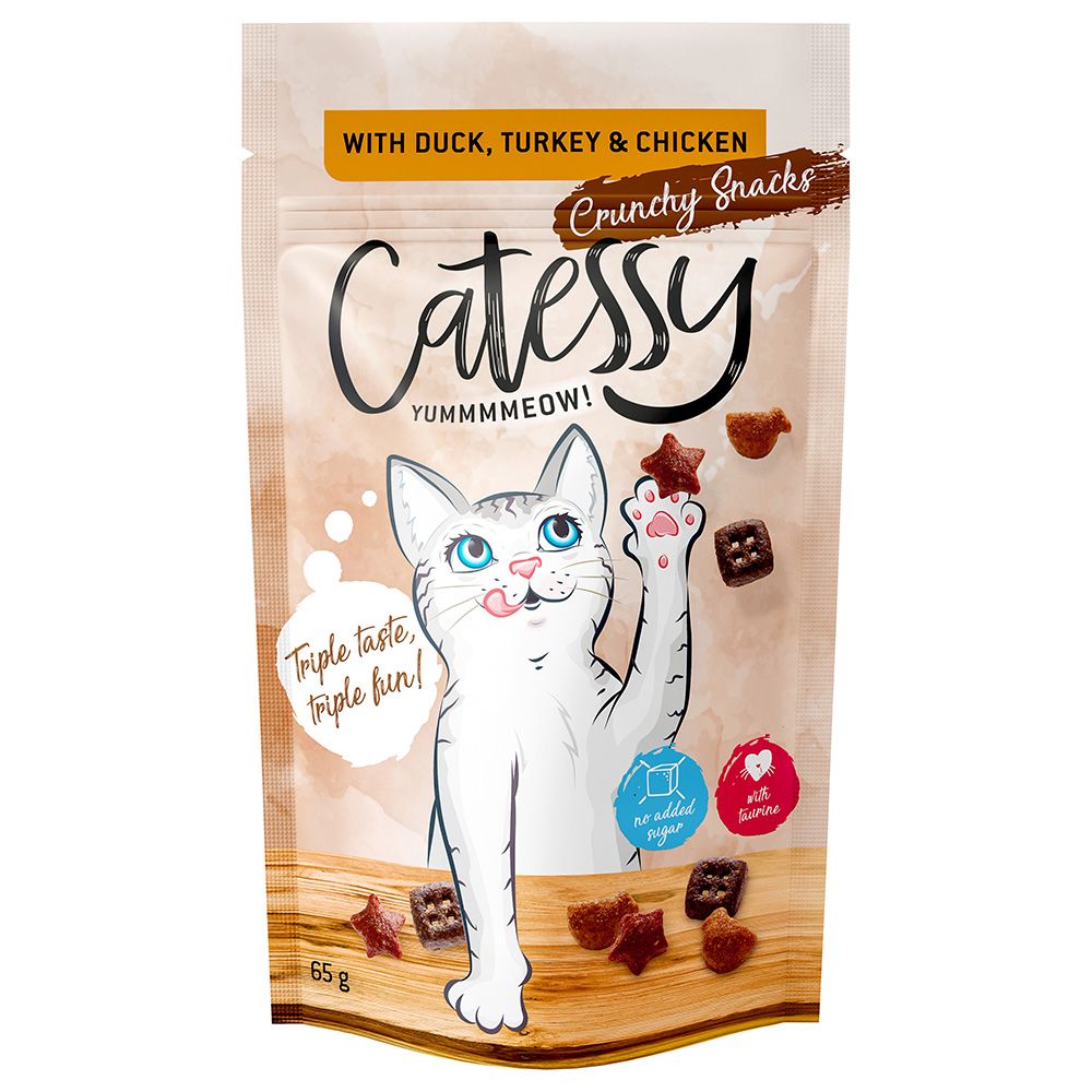 Catessy Crunchy Snacks 65g