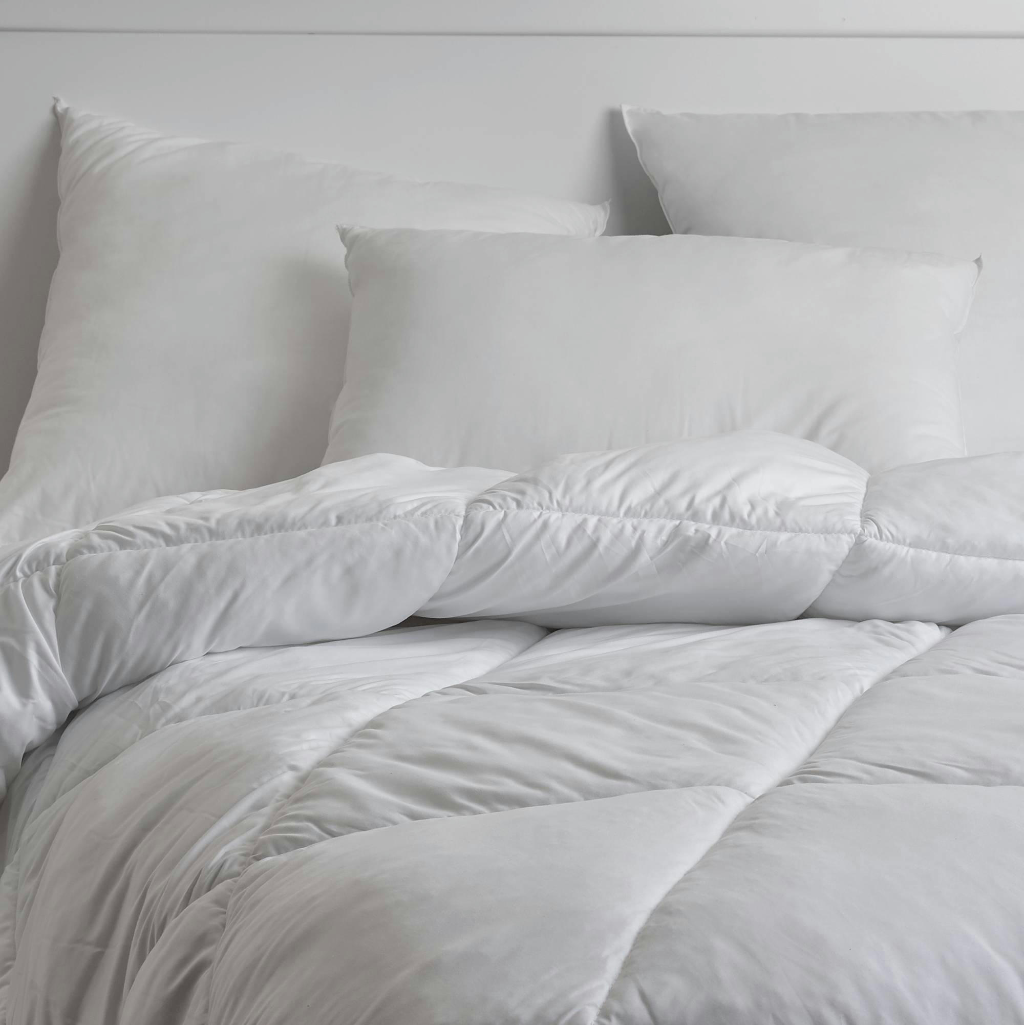 PACOME - Lot de 2 oreillers en Microfibre 65 x 65 cm