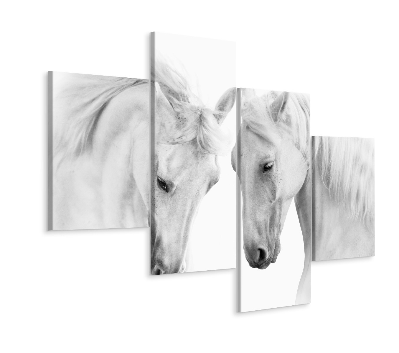 Obraz 4-Częściowy Białe KONIE Zwierzęta 3D 80x50cm