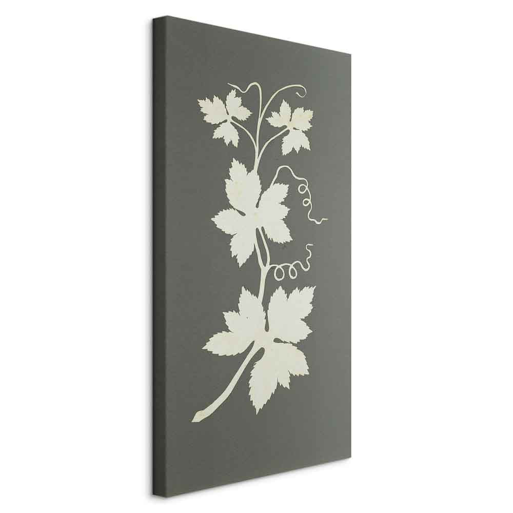 Obraz Hop plant 30 x 60 cm