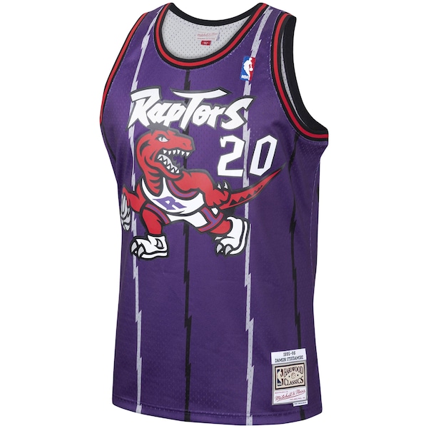 Damon Stoudamire Toronto Raptors 1995/96 Hardwood Classics Swingman Jersey - Purple