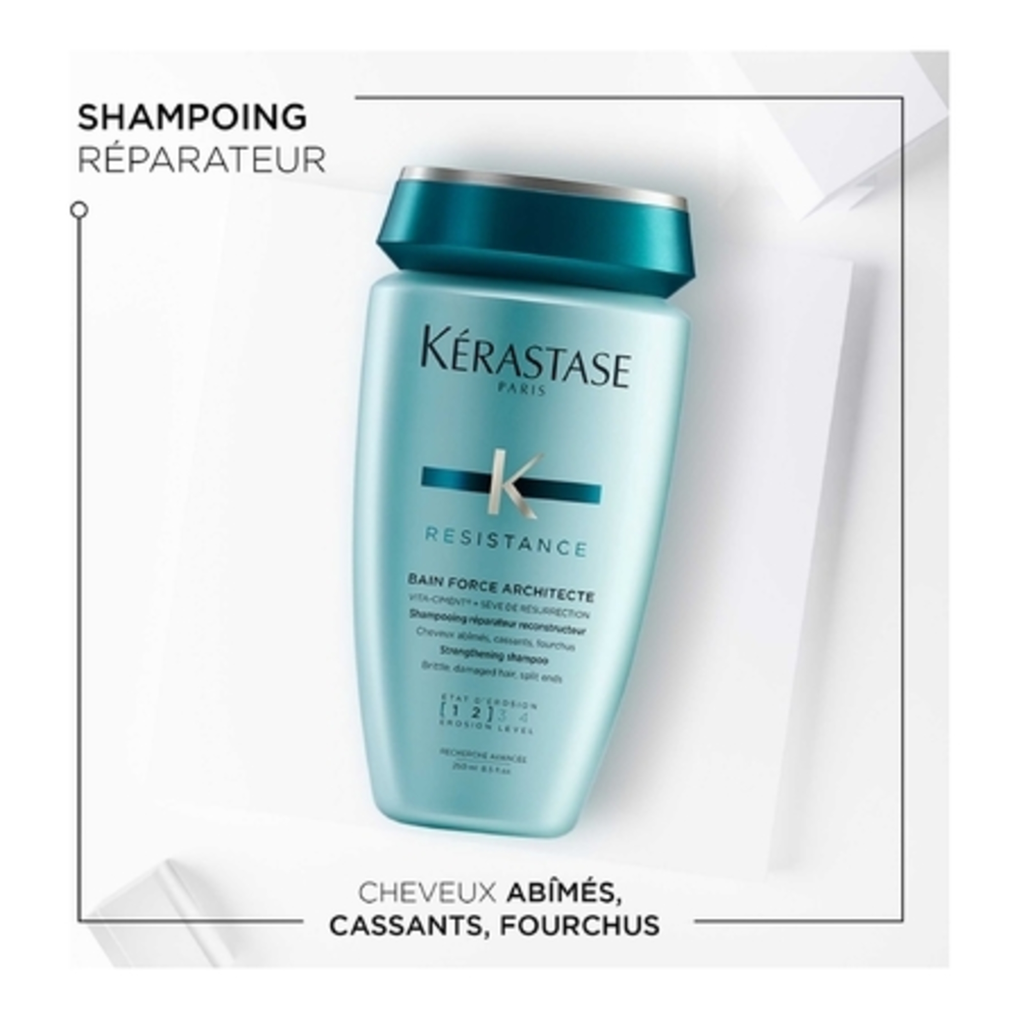 RESISTANCEBain force architecte cheveux abimés