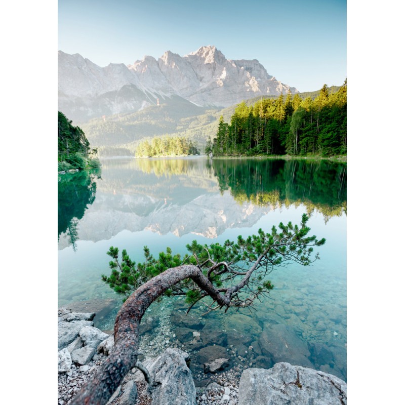 Impression sur plexiglass Branche sur lac 80 x 120 cm CEANOTHE