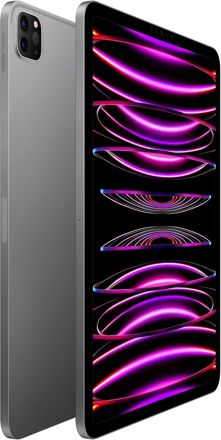Apple 2022 iPad Pro 11-inch  Wi-Fi  256GB  Space Gray (Renewed)