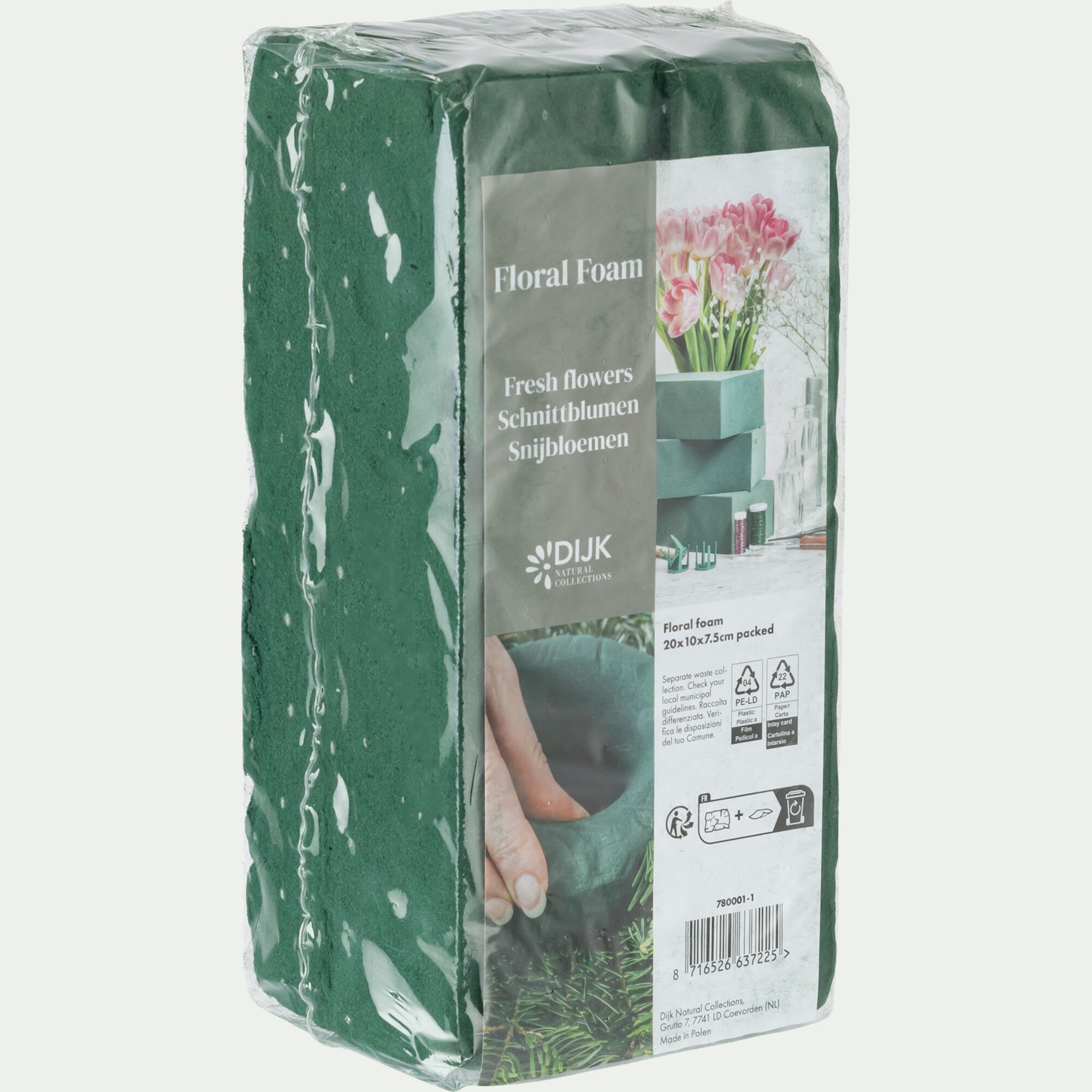 VETAN - Mousse pour fleurs - vert