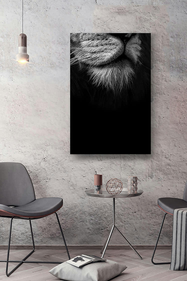 LE BOUC DU ROI - Photographie d'art de Guillaume Mordacq  60x90 cm sur plexi