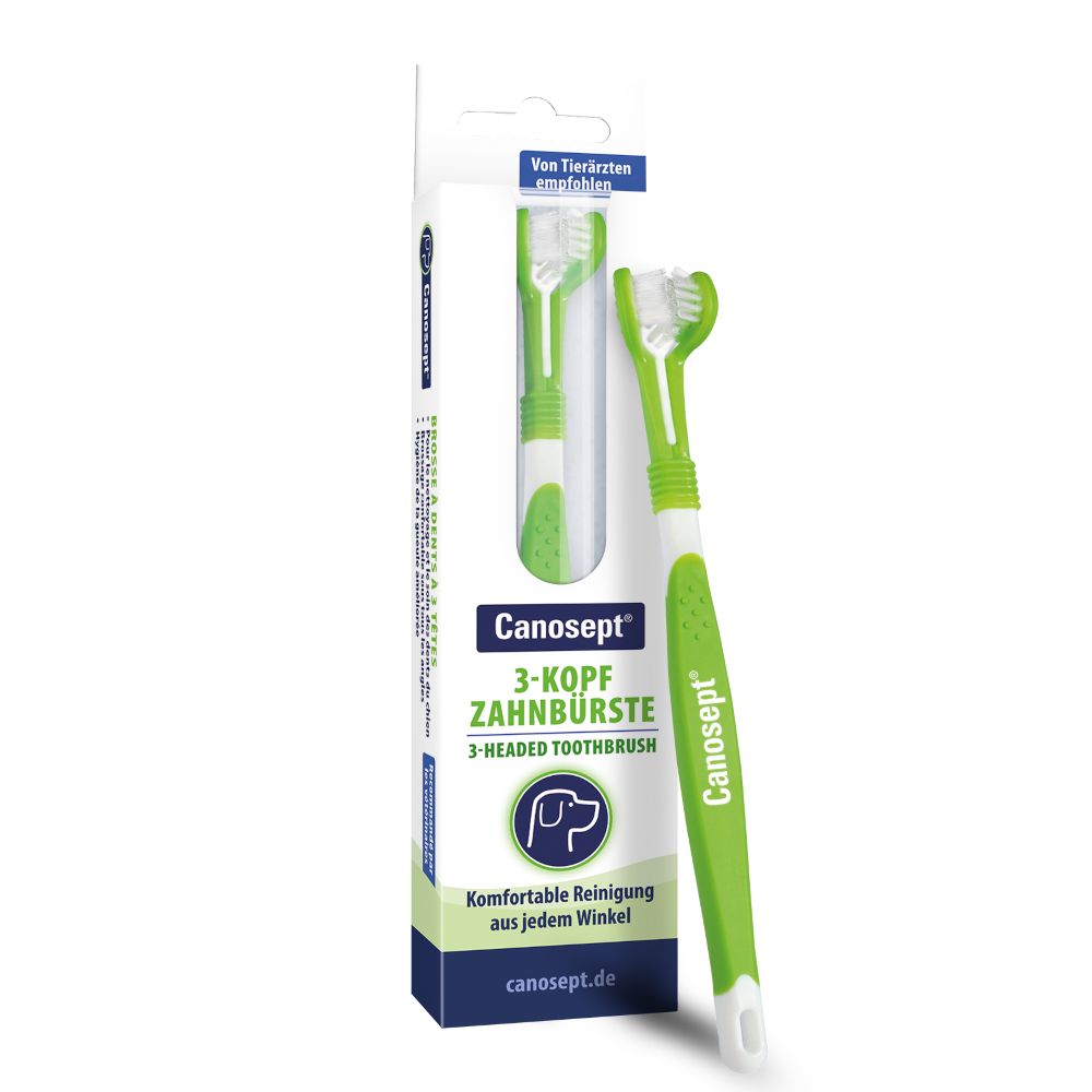 Canosept 3-Head Toothbrush