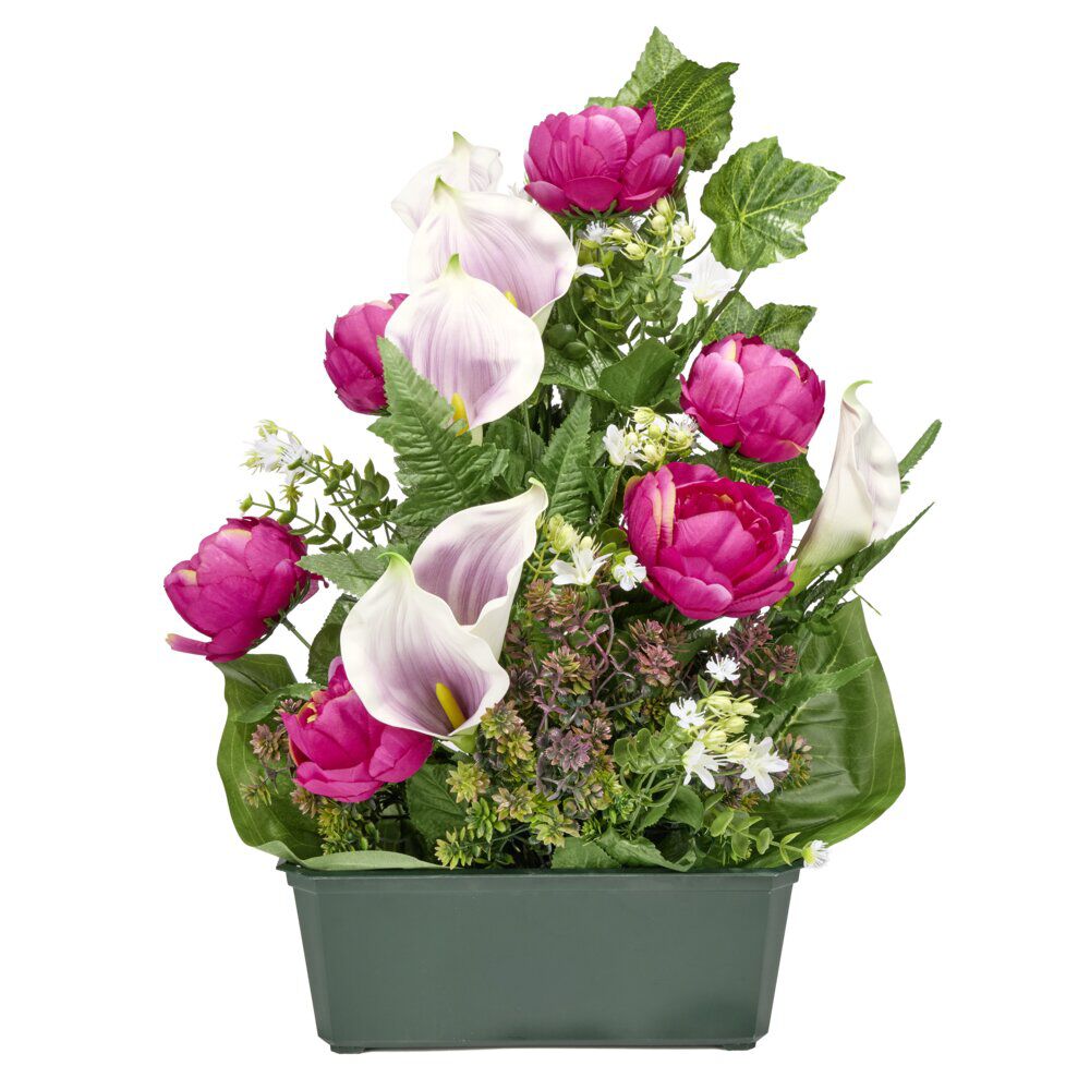 Composition florale jardinière pivoines arums buis lierre 50x10xH64cm (3 modèles)