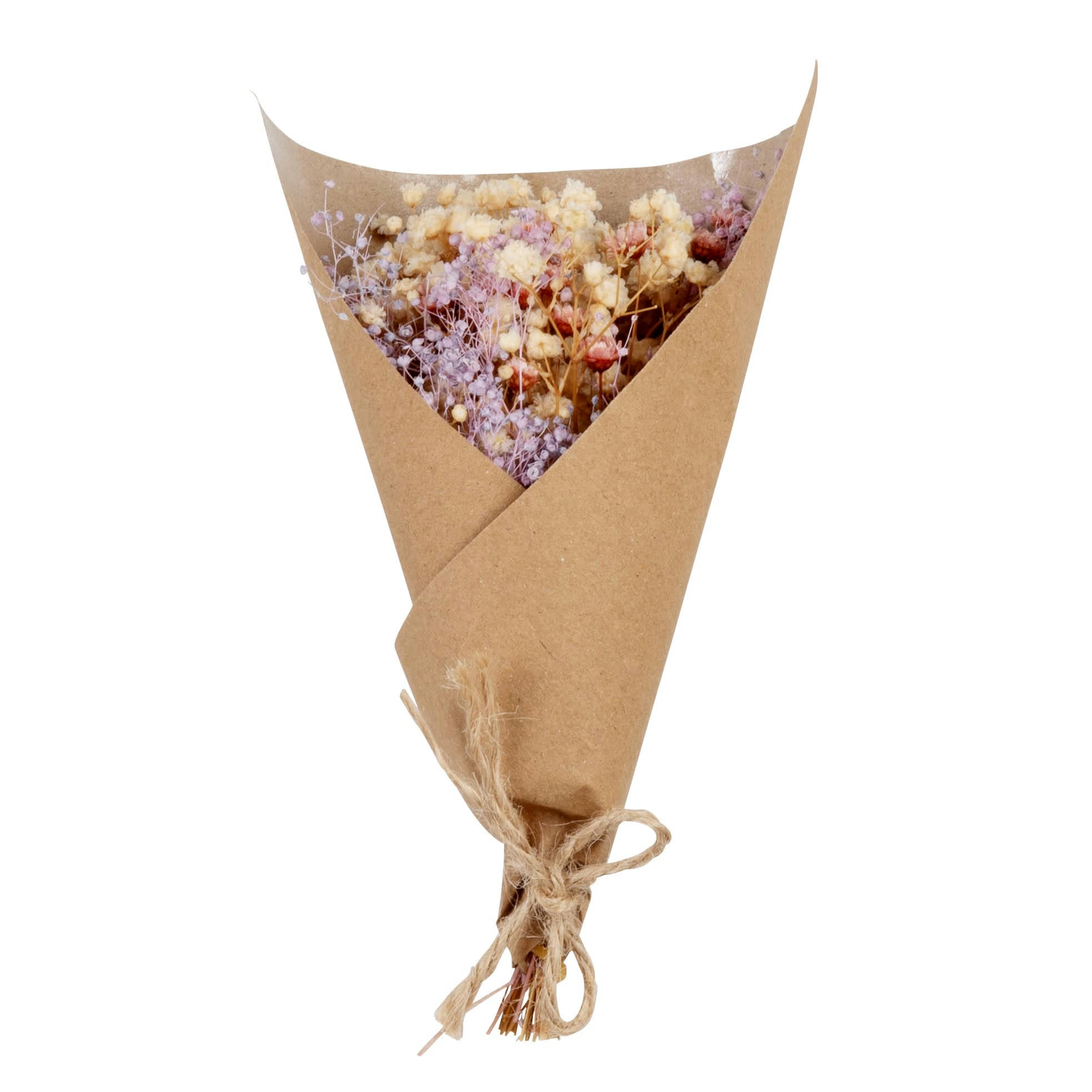 SIDONIE - Bouquet de fleurs séchées beiges