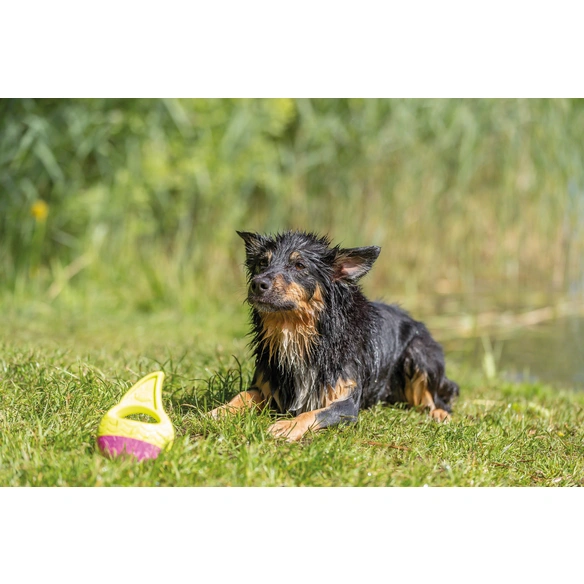 Hundespielzeug, Ø18 cm, schwimmt/floatable, TPR, gelb/pink