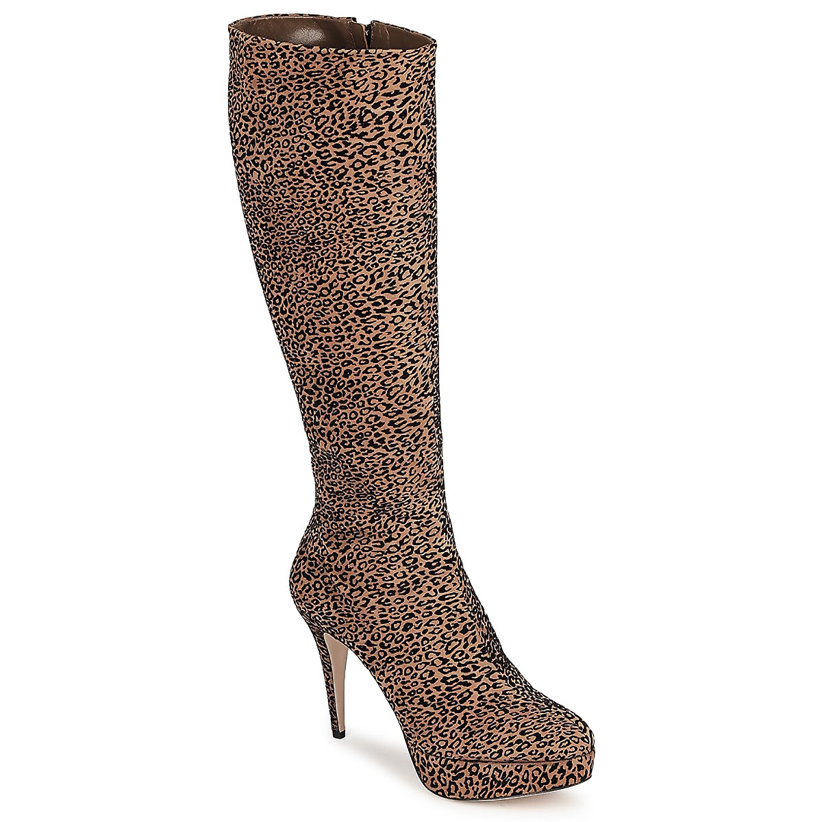 Sebastian - FLOC-LEO - Leopard