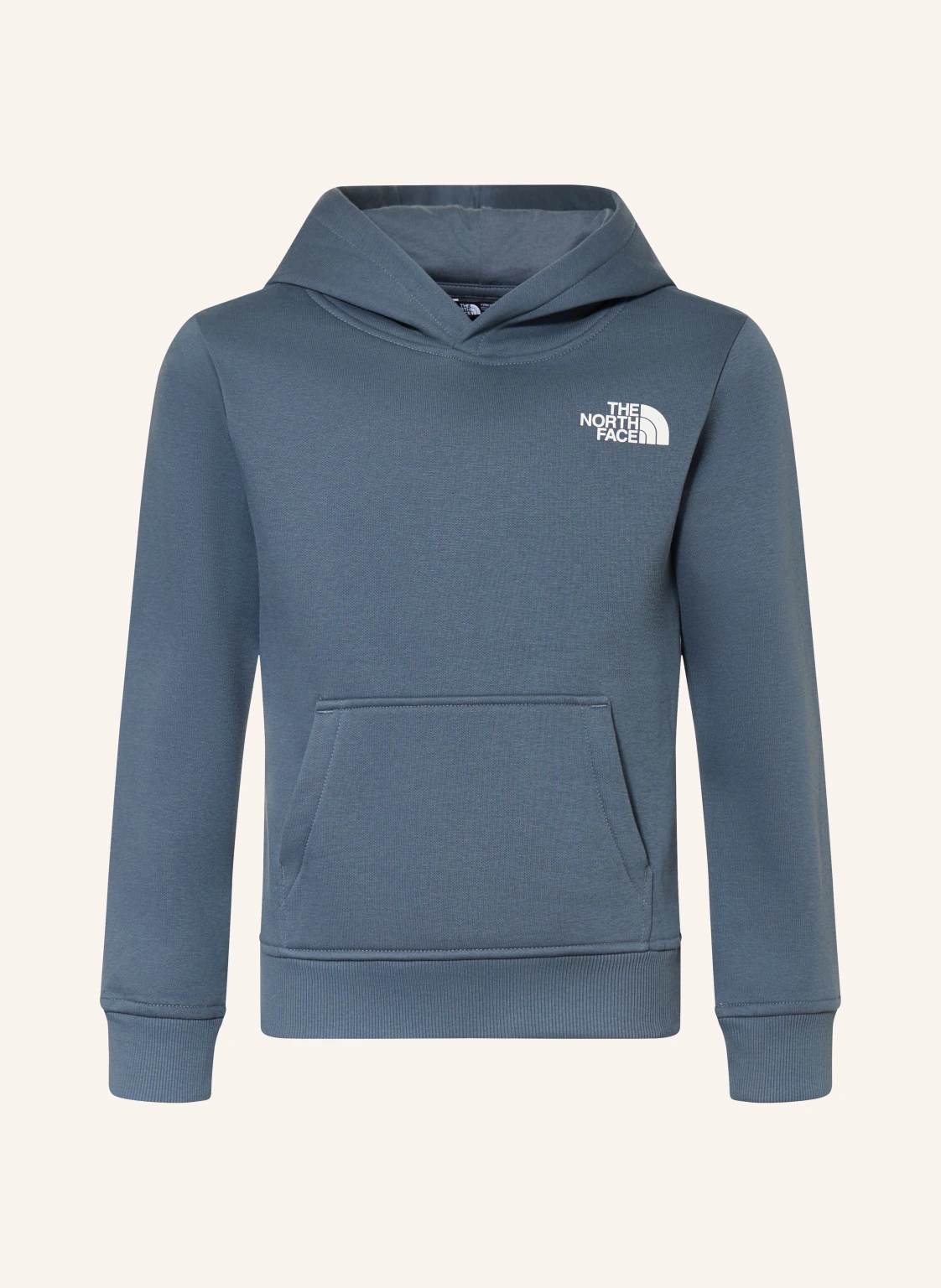 THE NORTH FACE Hoodie REEN BOX NSE