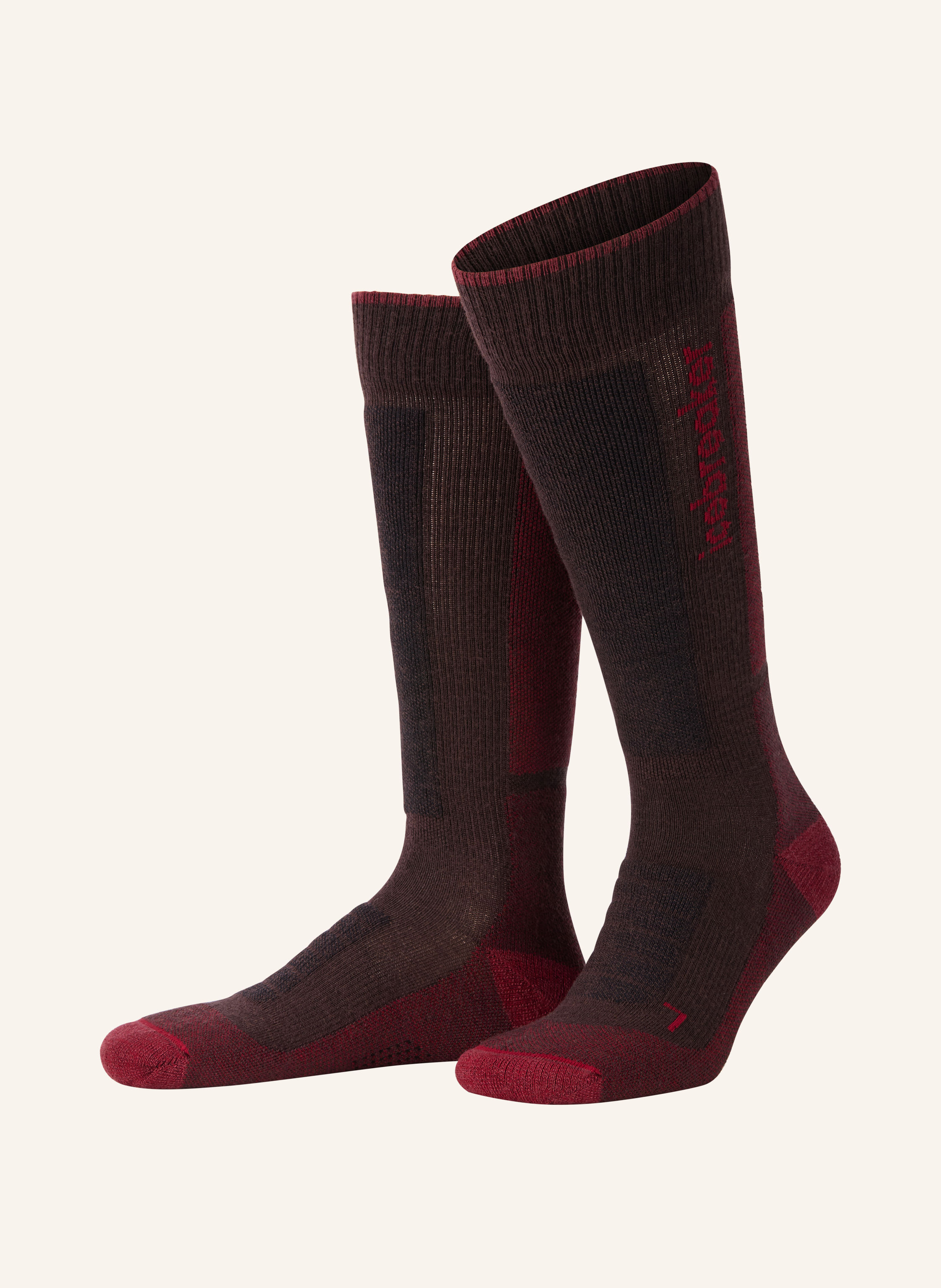 icebreaker Skisocken MERINO BLEND SKI
