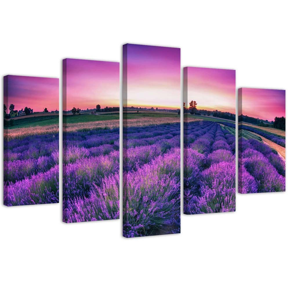 Lawendowe pole Obraz 5 części 100x70