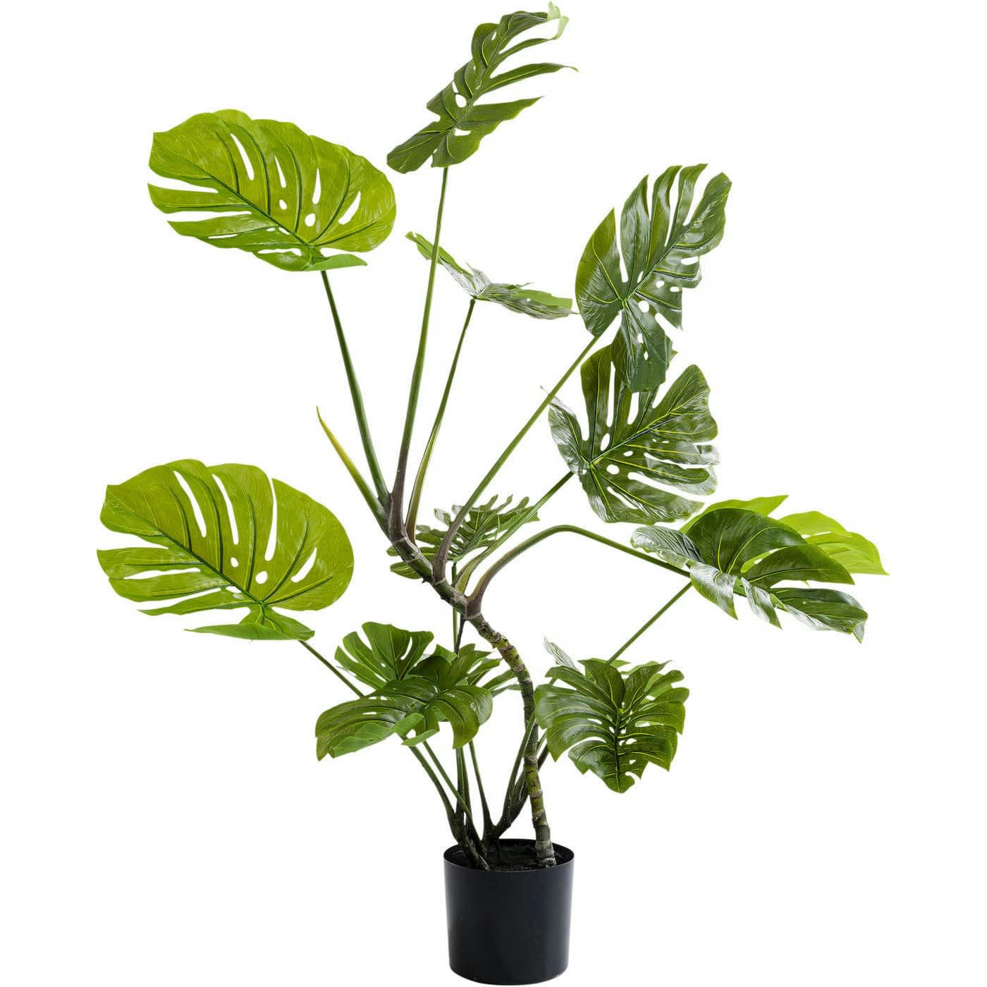 MONSTERA - Plante artificielle monstera en polyéthylène et béton H110