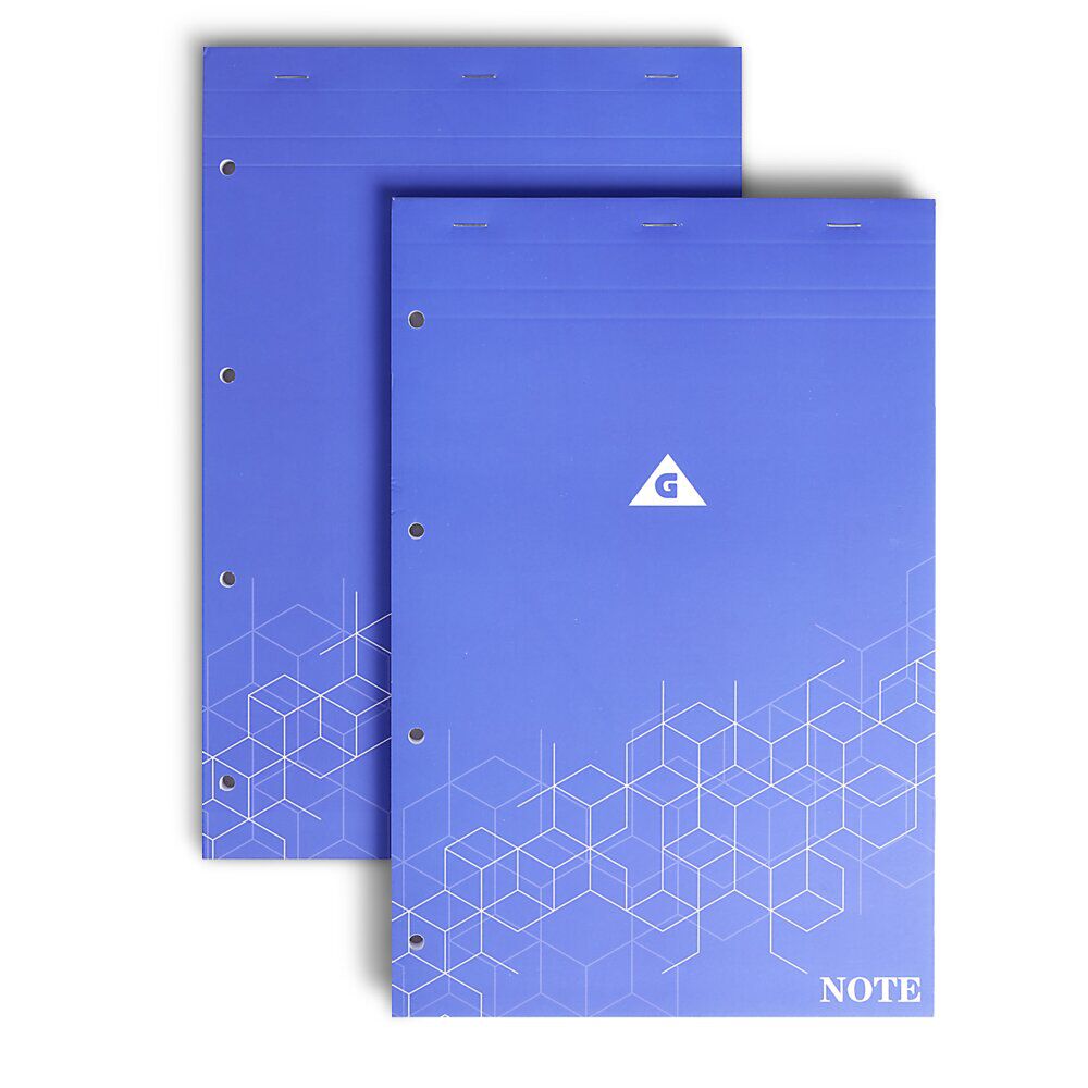Lot de 2 bloc-notes perforés à petits carreaux A4 - 160 pages